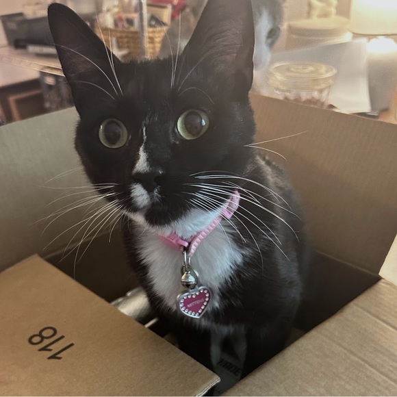 Meet your Posher, Mary - Picture 11 of 16